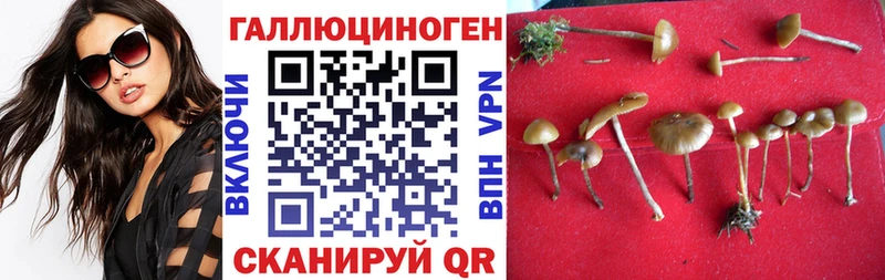 Галлюциногенные грибы ЛСД  Морозовск 