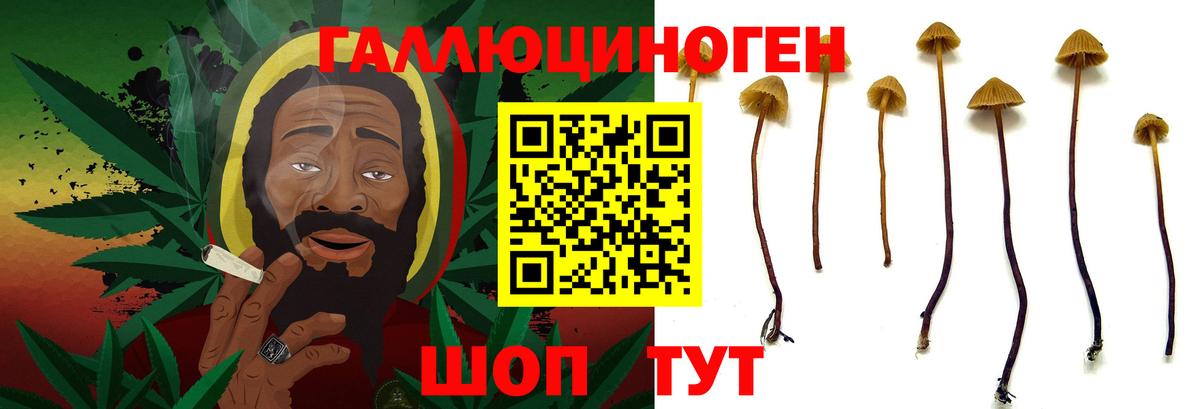 Псилоцибиновые грибы Magic Shrooms  Псилоцибиновые грибы Magic Shrooms  Вход с VPN  цены   Морозовск 